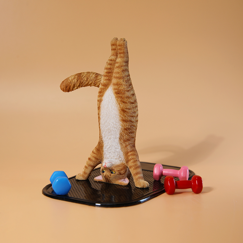 Mini-Simulations-Fitness-Katze – Yoga In Fitness First Bewertung und Preis